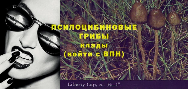 не бодяженный Аркадак