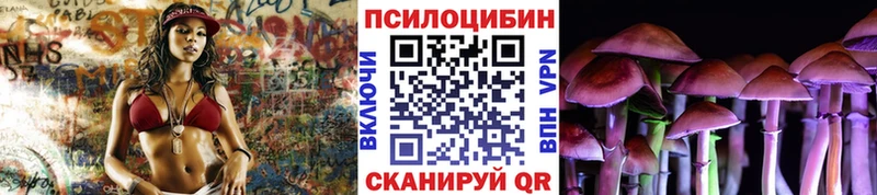 Галлюциногенные грибы MAGIC MUSHROOMS  сколько стоит  shop телеграм  Орлов 